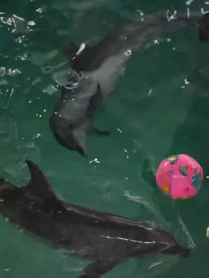 韩国弘大商圈旅游攻略,韩国首尔旅游攻略费用高