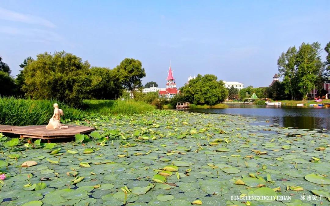 伏尔加庄园感受冬日的浪漫与唯美,伏尔加庄园的秋天是真的迷人