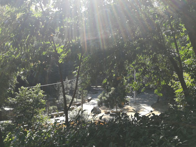 度，这不只是茶哲学文化的字眼丨《中国茶历》主编说