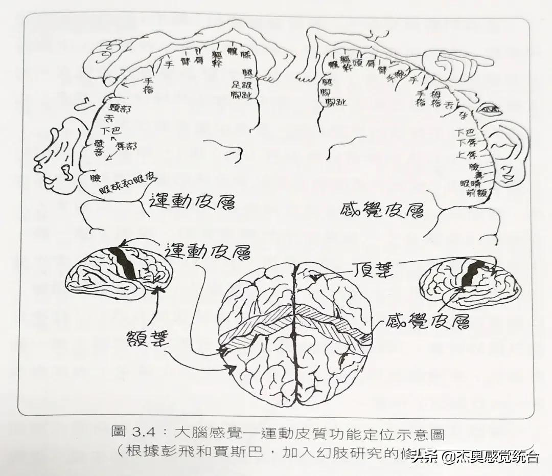 你知道吗？手指灵活能让口才更好、头脑更聪明（文尾附训练游戏