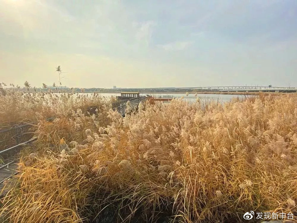 丰台赏秋景最好的地方,丰台赏秋好去处