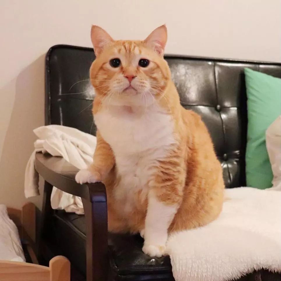 准妈妈的日常护理准则,准妈妈注意事项大全