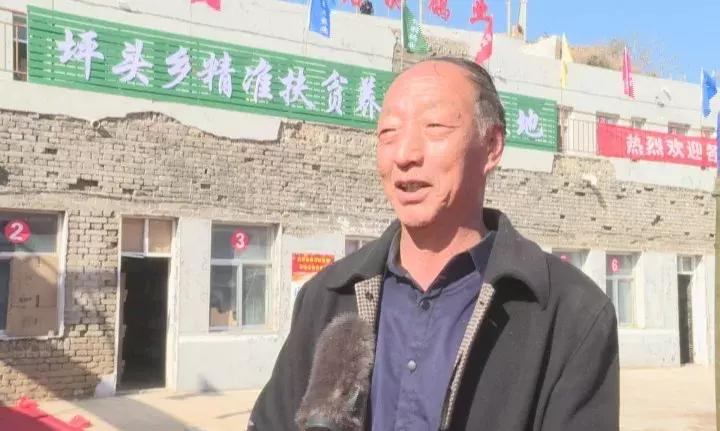 发展赛鸽养殖助力贫困户脱贫致富,铭羽鸽业