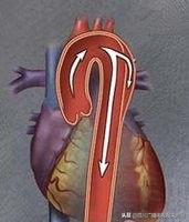 秋冬季出游，别忘妇科关照，《好医生在线》精彩内容抢先看