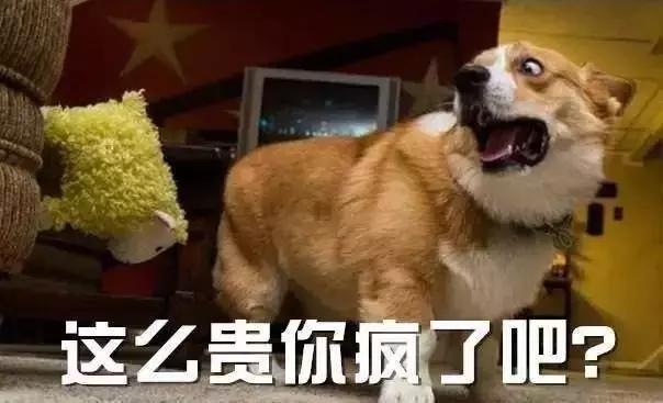 测评网红零食小视频,网红猪饲料零食大礼包测评