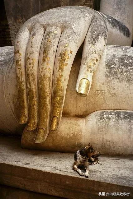 林清玄散文最美的遇见原文,散文林清玄人间