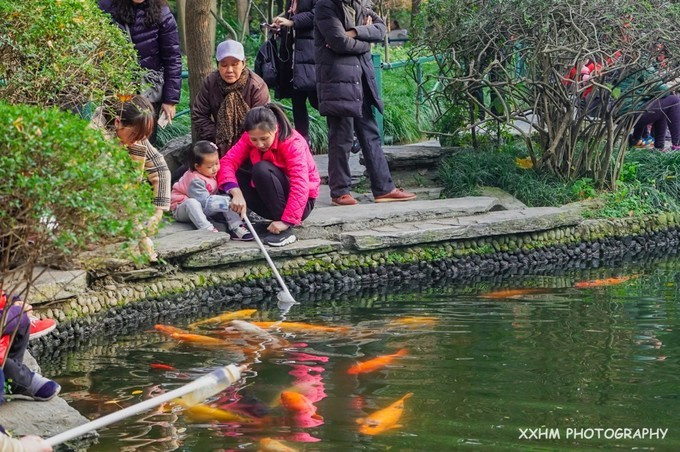 成都本地人去的最好吃的美食,中国姑娘吃成都美食