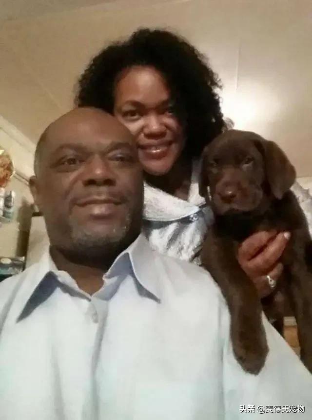 狗狗走失2个月后一路狂奔,狗狗失踪年苦等主人认出激动暴哭