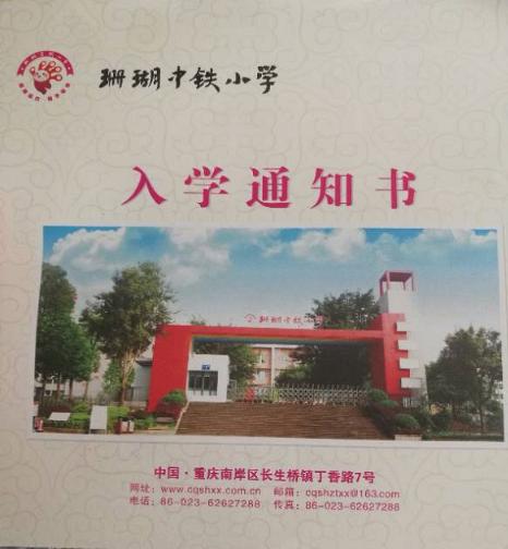 重庆南岸区公立小学学校,重庆南岸区小学排名一览表