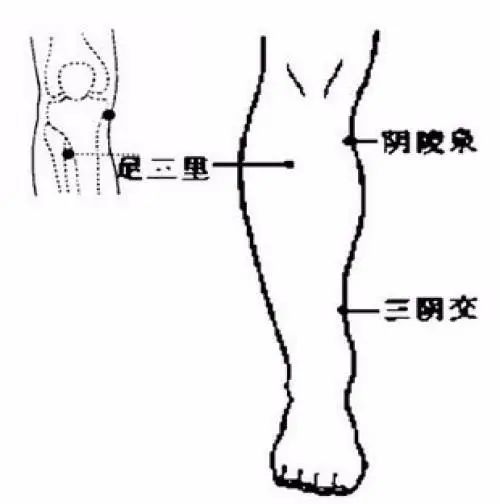 背后长粉刺痘痘是怎么回事,青春期孩子背后长痘是什么原因