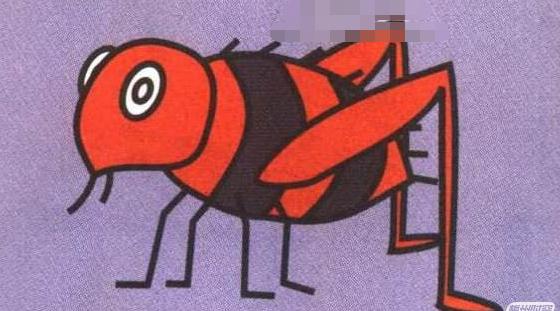 被什么虫子叮了会有一阵的刺痛感,各种虫子叮咬后的症状