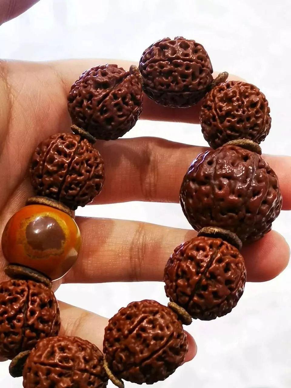 金刚菩提和落地红对比图,盘了两年的金刚值多少钱