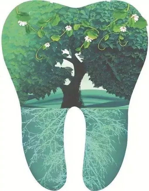 日照口腔牙齿矫正费用,日照牙科修牙多少钱一颗