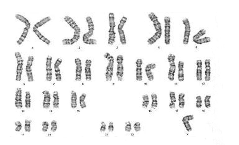 “娘腔”背后并非全是做作