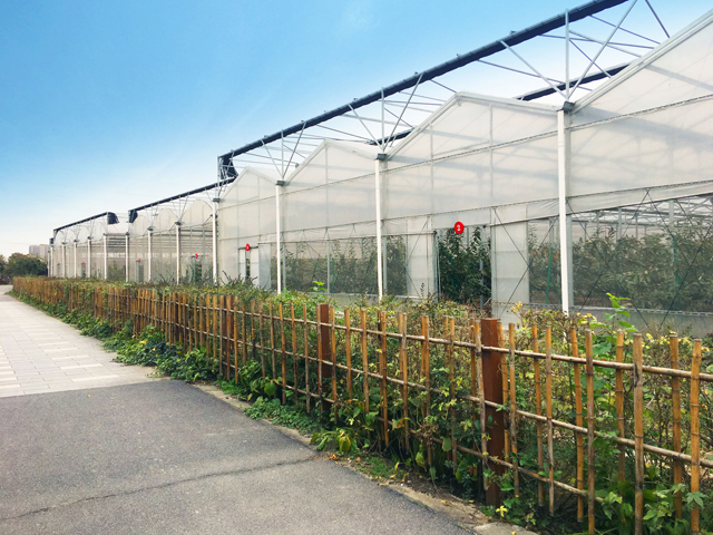 2022上海春节活动汇总,上海旅游文化节