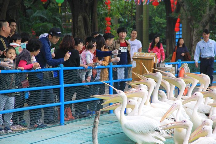 长隆飞鸟乐园湿地精灵,长隆飞鸟公园一日游攻略