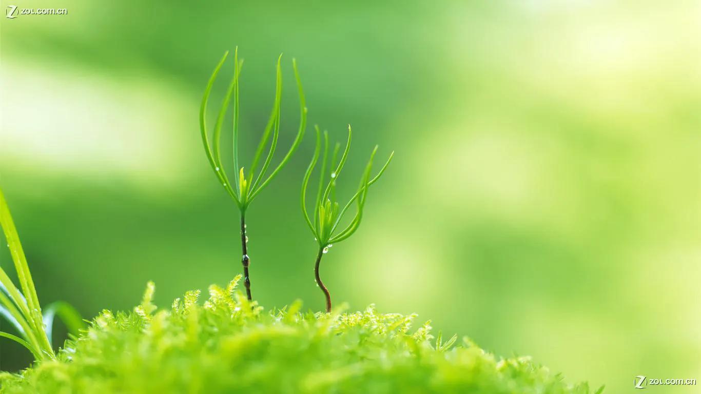 竞彩足球咋买比分,竞彩5场2345关错一场怎么算赢