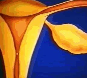 女性体内的神秘“暗线”：竟能支配月经