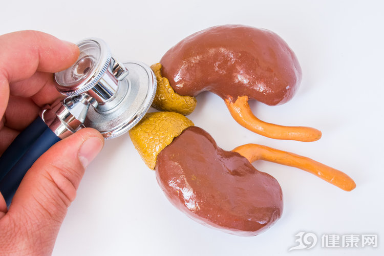 春季养肝秋季养肺冬季养肾,冬天养肾的养生知识大全