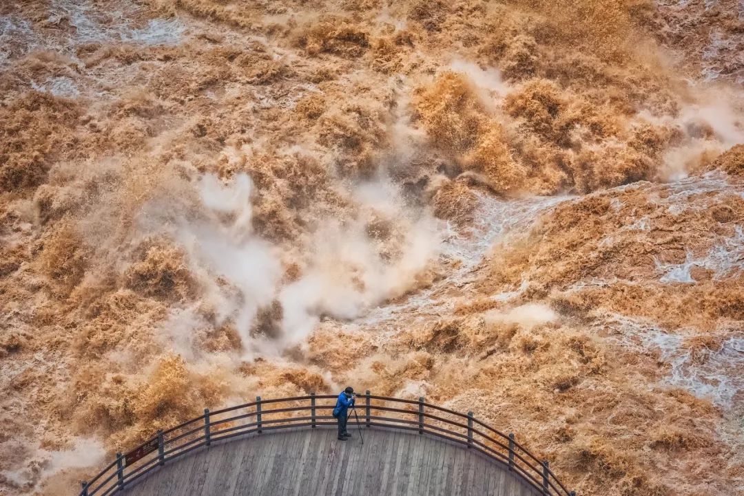 草原上特有的狼毒花,香格里拉狼毒花在哪里