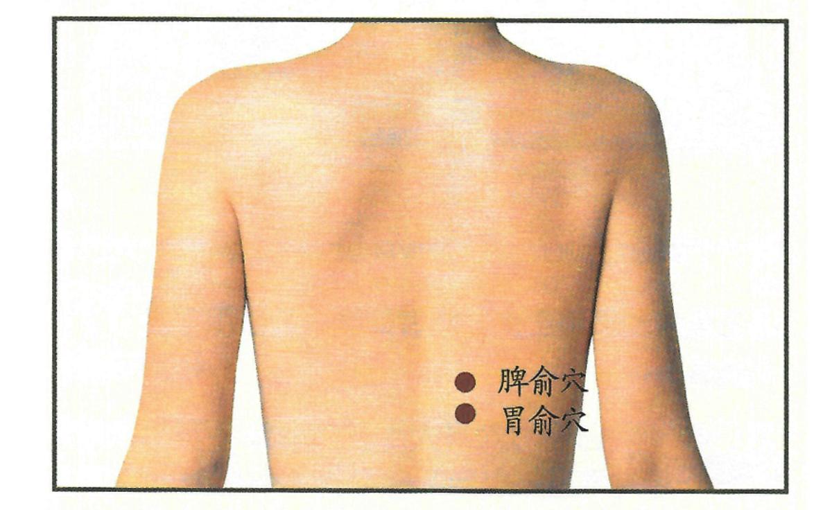 慢性胃炎艾灸灸什么穴位,慢性胃炎胃寒艾灸穴位