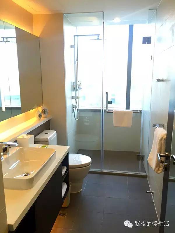 苏州带宠物去的古镇,苏州小众宠物乐园推荐