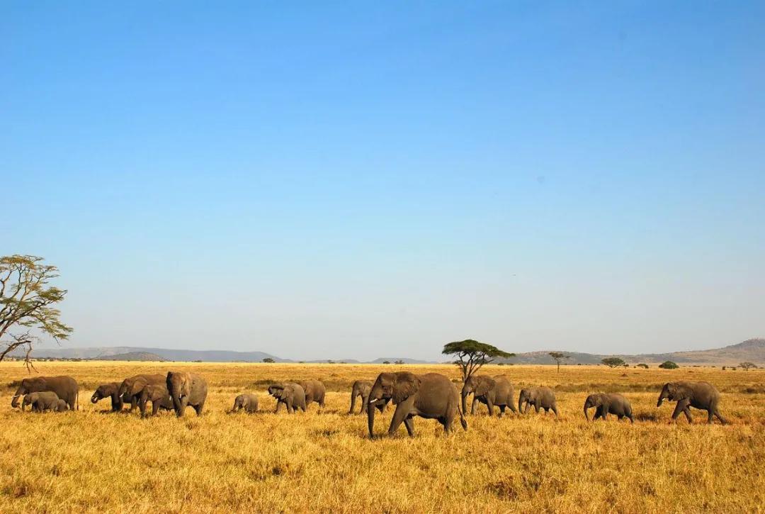 非洲五大矿业国家，到底谁的资源更丰富？