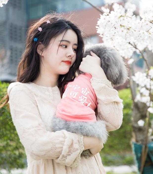 宠物体检行业,宠物医生这个行业前景