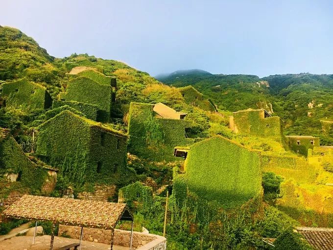 初心枸杞岛旅游攻略,枸杞岛旅游攻略大全