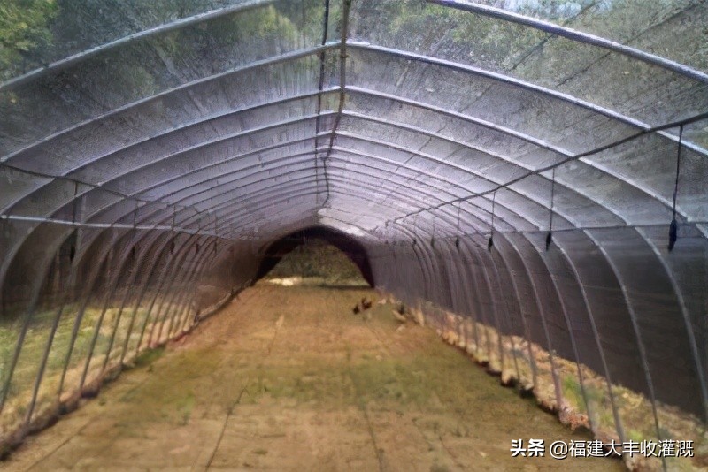 微喷注意事项,微喷带怎么使用