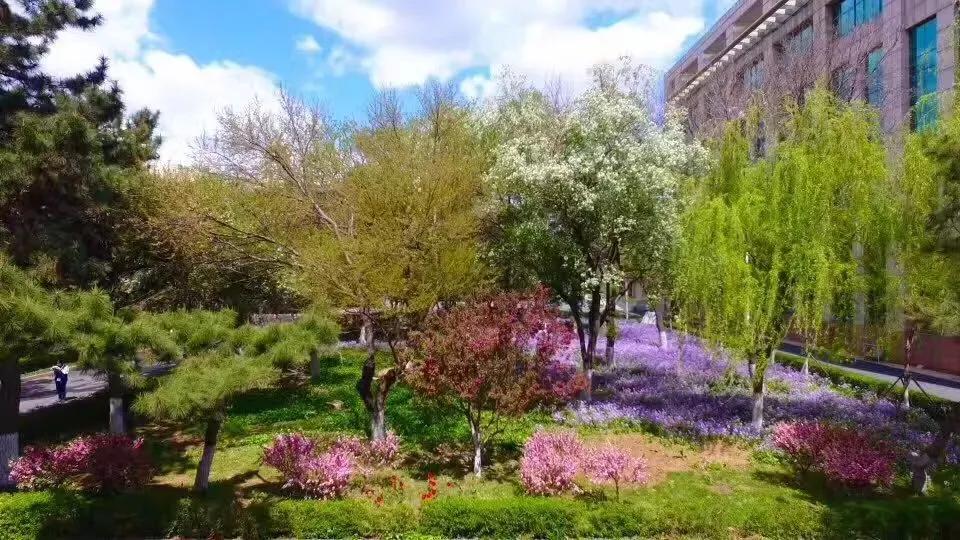 辽宁省实验学校和辽宁省实验中学,辽宁省实验中学和辽宁省实验学校