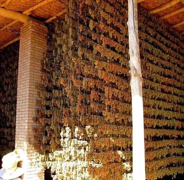 新疆最爱吃的零食,干果美食总有一款适合你