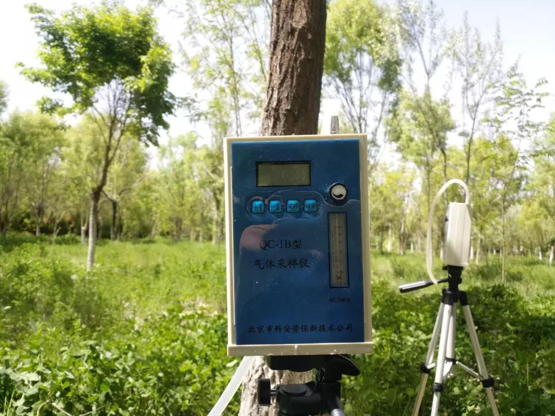 红颈天牛生活习性及防治方法,天牛的习性和天敌