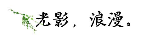 成都二环绿化,成都二环绿植视频
