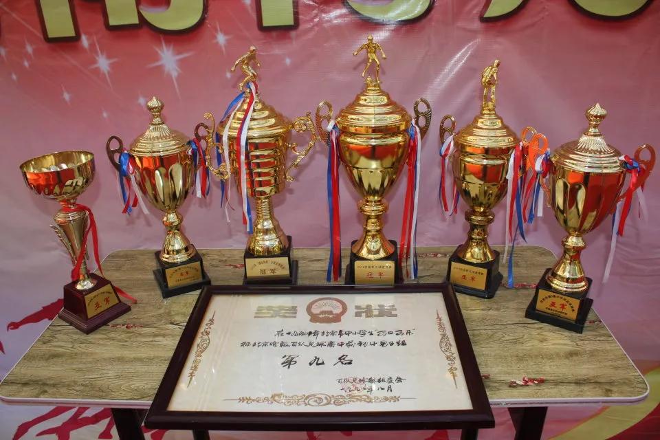 足球老将的故事简介,足球少年的故事