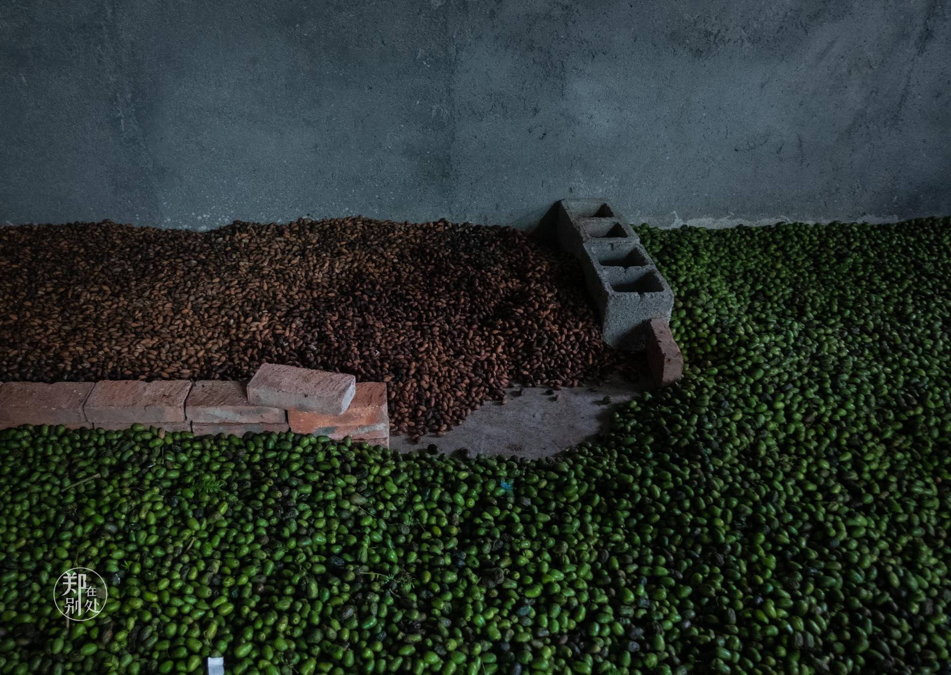 香榧古道,香榧古道徒步路线哪条景色美