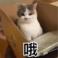 高手在民间手工作品,高手在民间手工制作