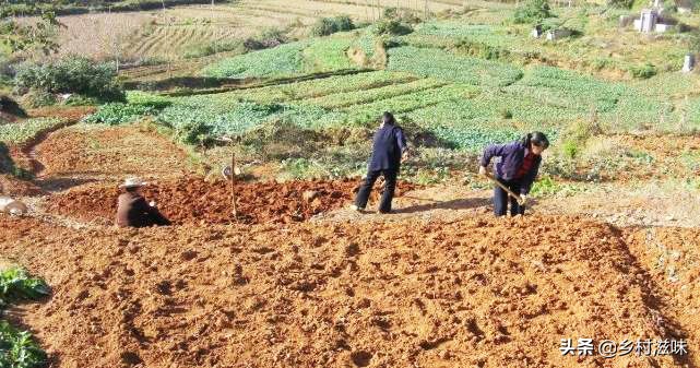 农村土地纠纷处理难点,土地纠纷可以直接找司法调解吗