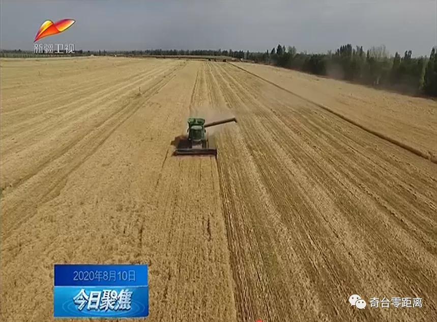 关于做好六稳六保工作的提示函,用心用情用力落实六稳六保