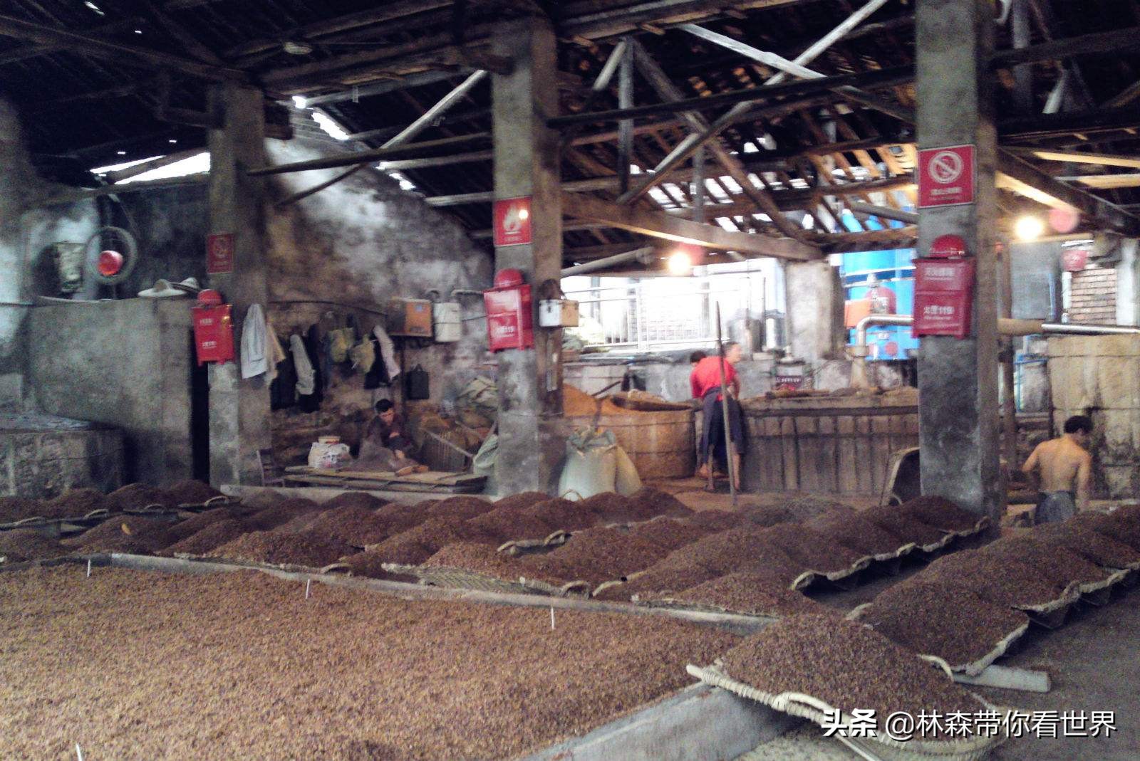 林森完整版免费观看,林森完整视频