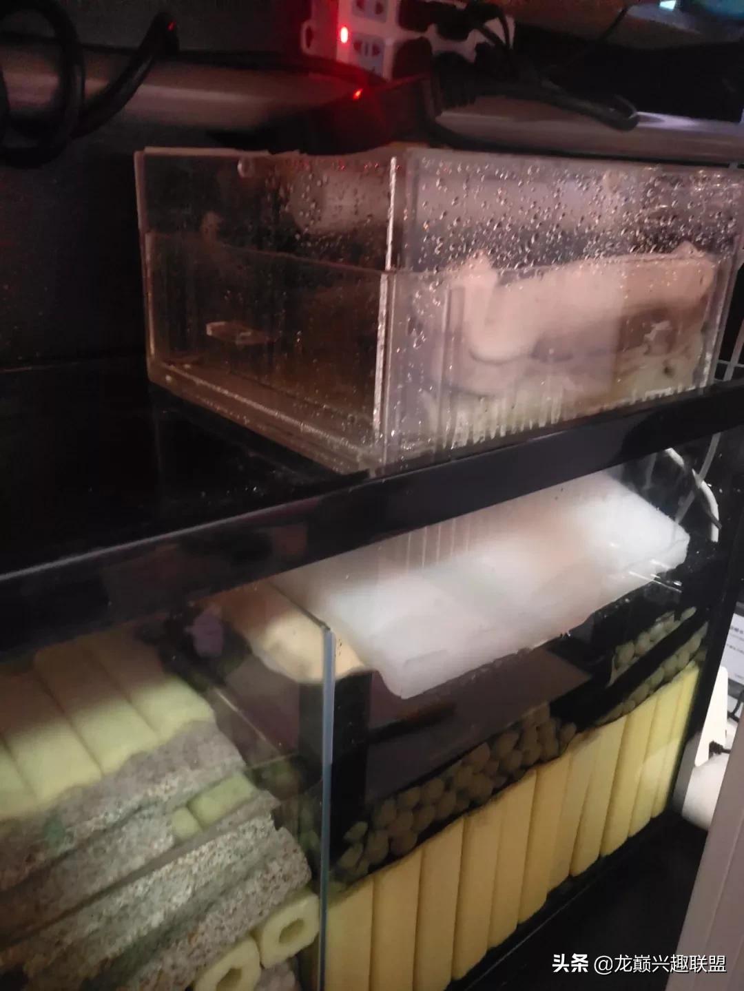 可丽爱老款侧滤鱼缸过滤系统改造,老款可丽爱底滤鱼缸安装教程