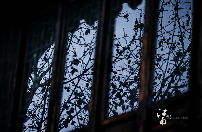 梦幻江南水乡仙境,带你看江南第一古镇