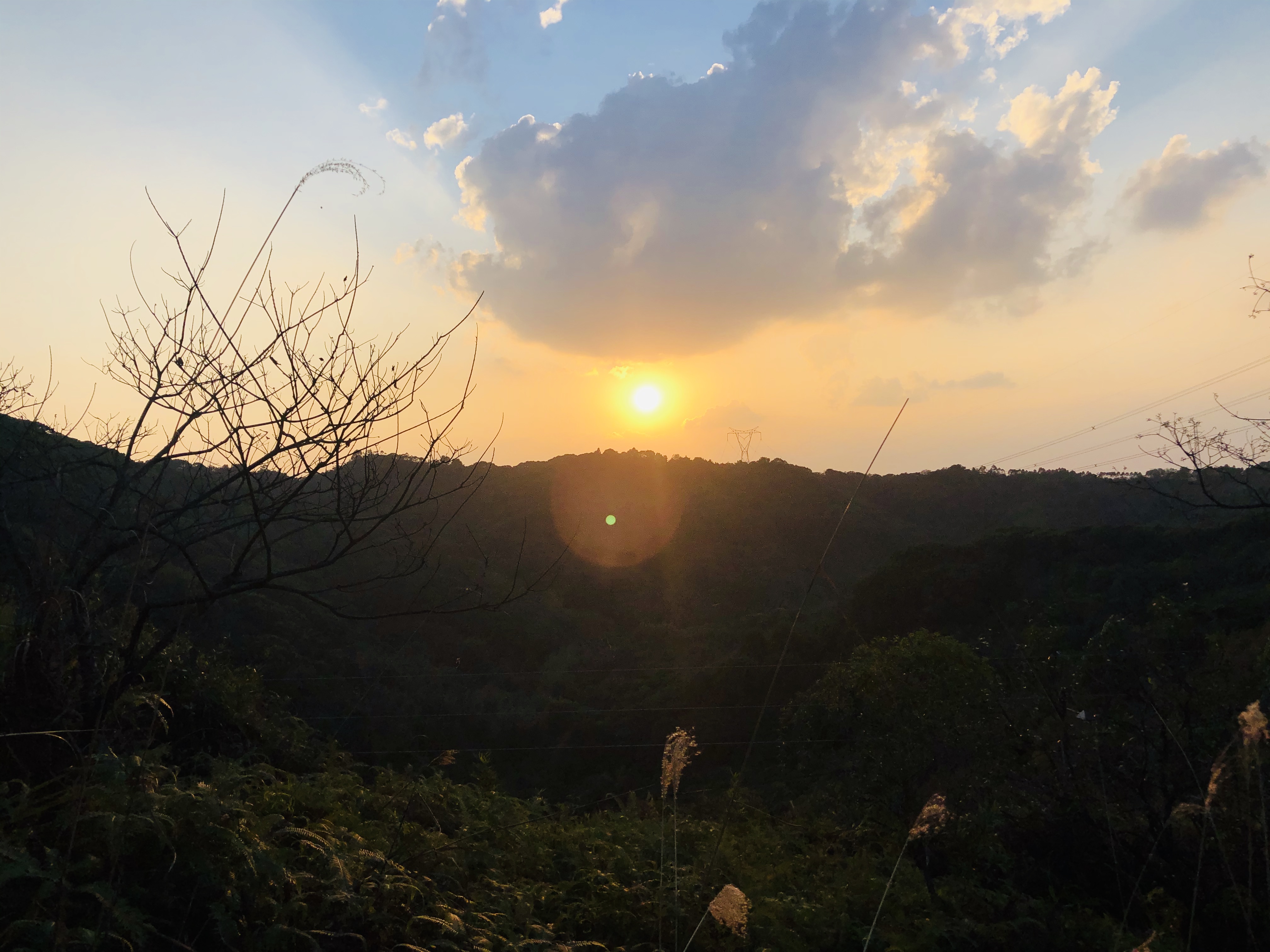 从化新开田园民宿,从化民宿推荐森林覆盖率高