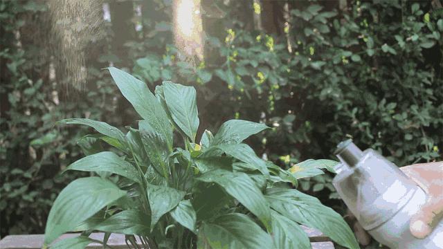 带娃沙滩旅行必备的东西,宝宝海边出行必备好物