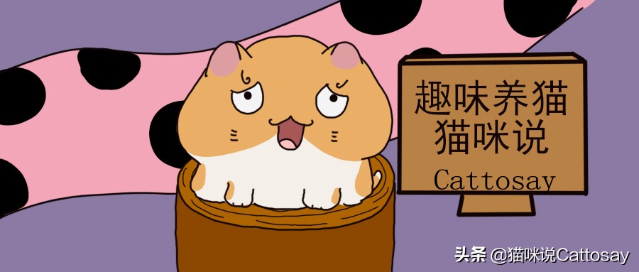 怎么给猫猫清理猫毛,粘在衣服上的猫毛如何快速清理