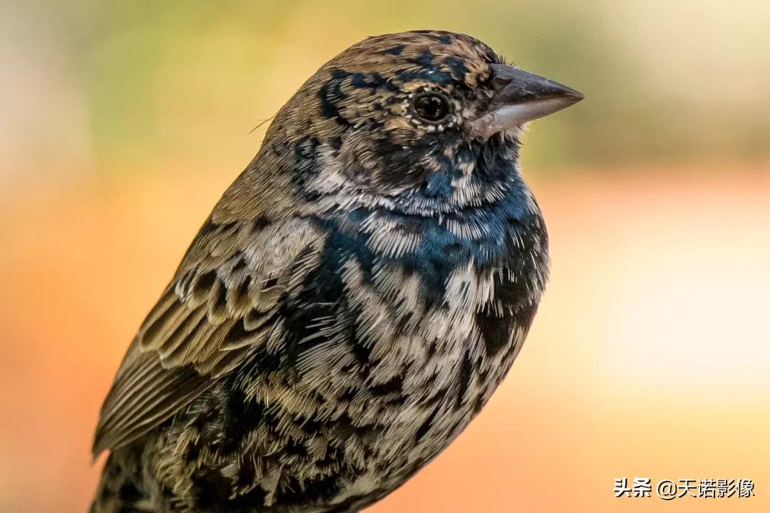 徕卡sl90-280拍人像,徕卡sl24-90镜头与24-70镜头比较