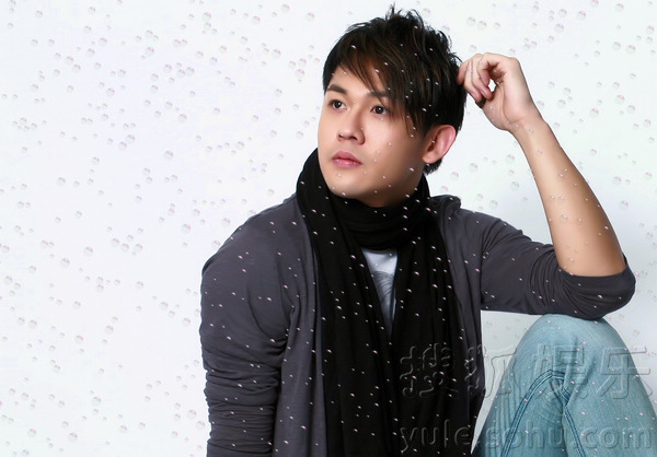 这部电视剧阵容强大质量却差强人意,一度陷入与周星驰版权之争