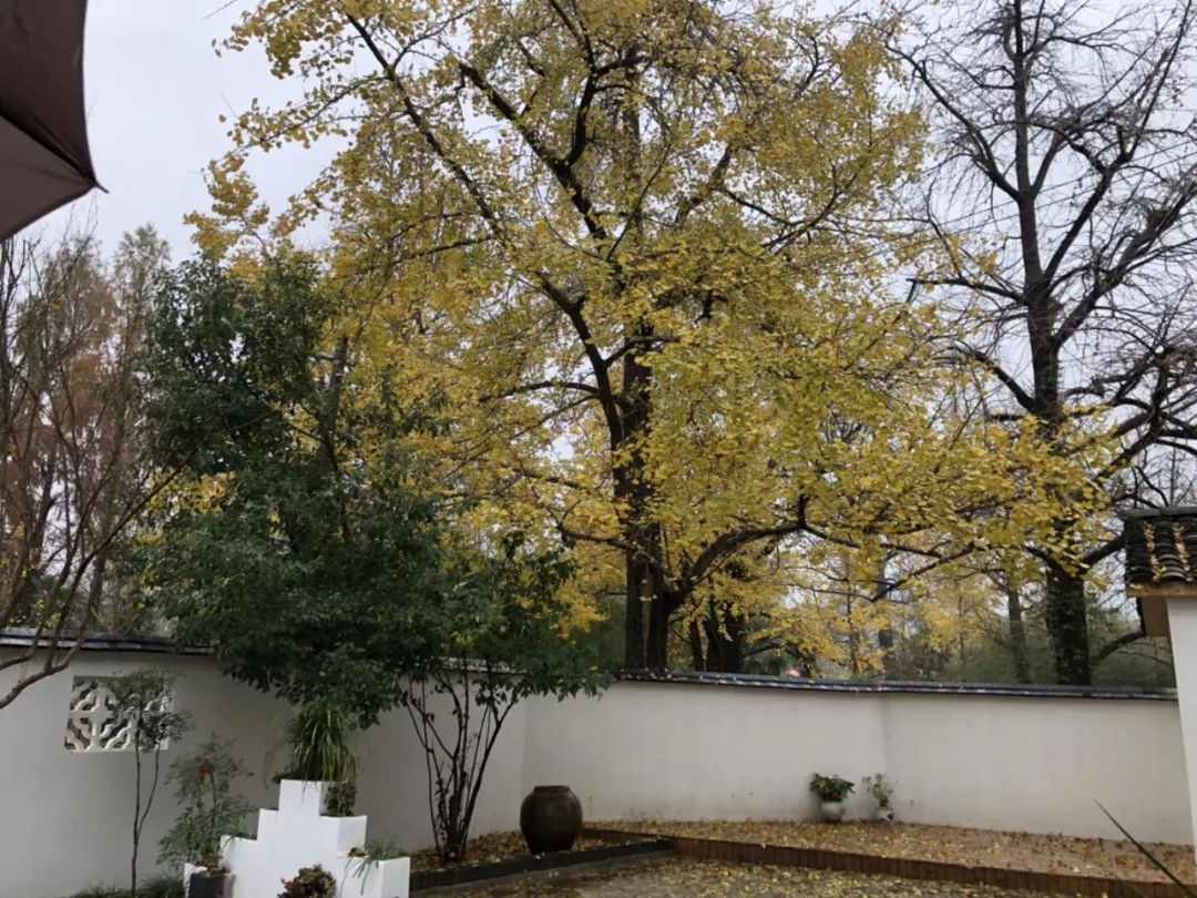 皖南川藏线皖浙天路自驾游,安徽皖南318自驾游