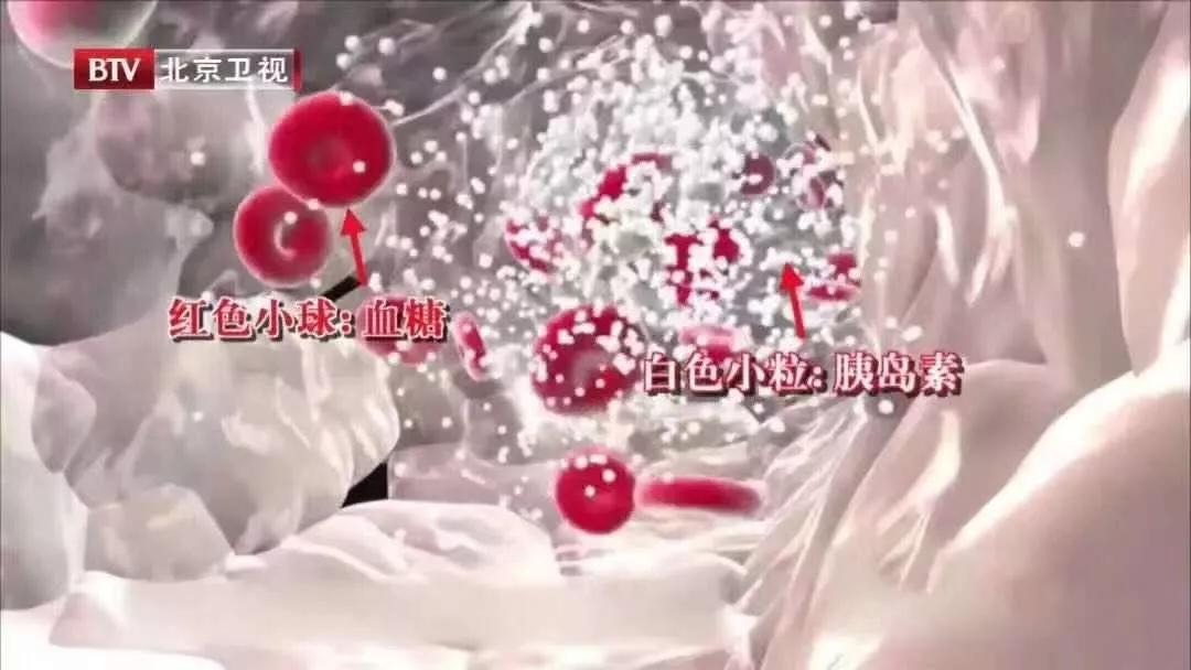 不饿到嘴馋忍不住一直吃东西咋办,明明不饿就想吃东西而且停不下来