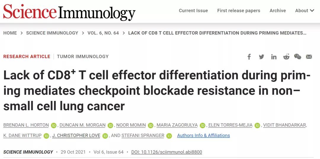免疫治疗病灶越小越难打吗,为什么免疫治疗会没有力气